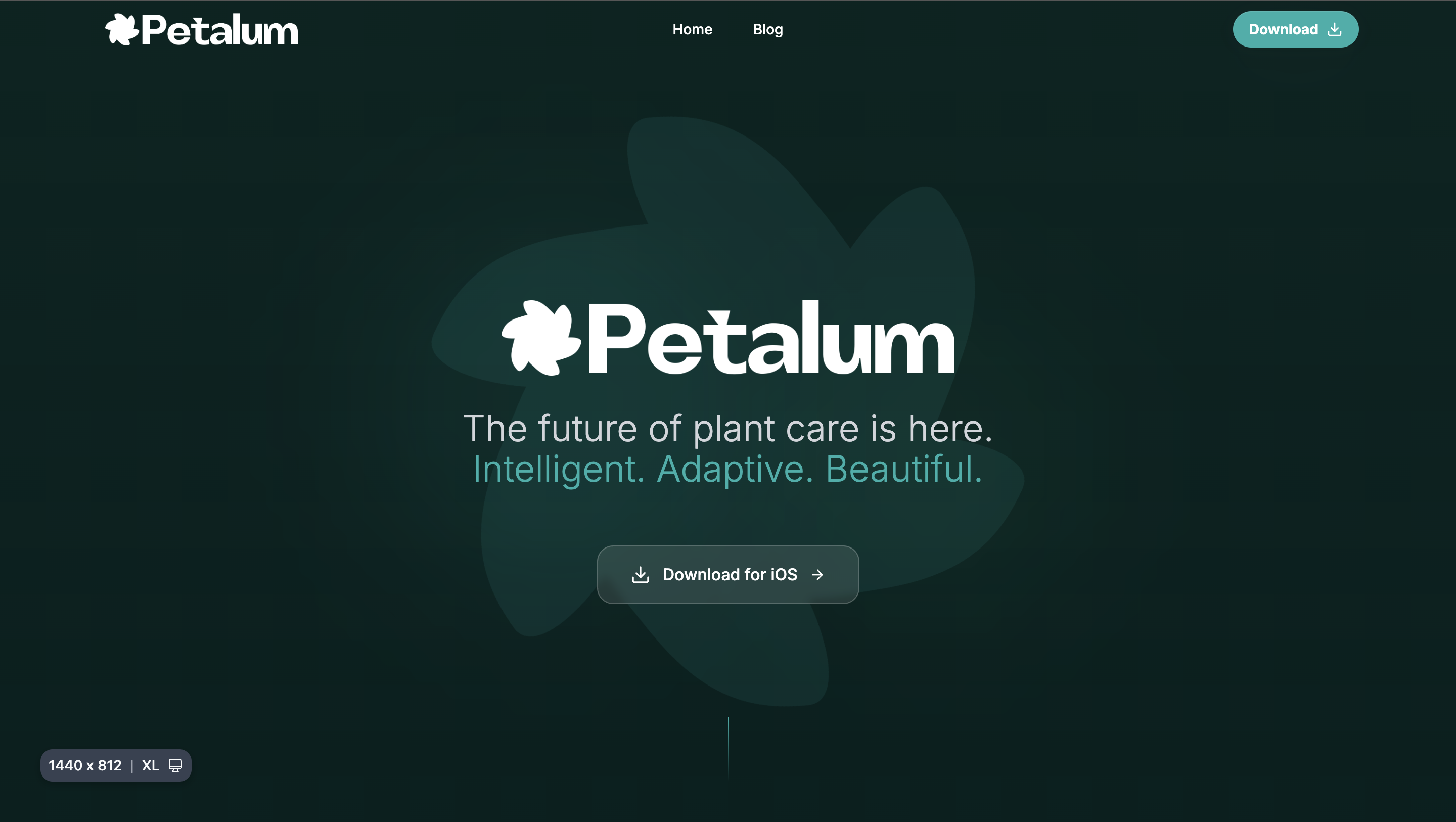 Petalum cover